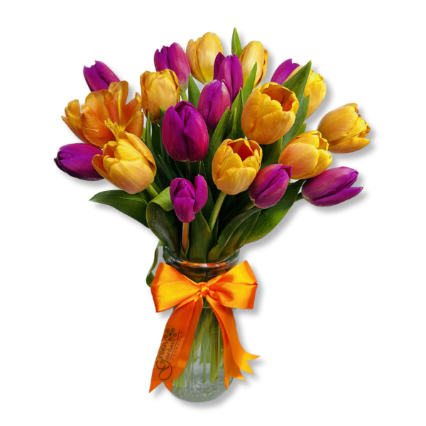 Florero de 20 tulipanes